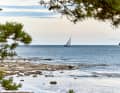 The Gotland Runt at the end of June attracts hundreds of sailors to the waters.