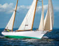 Le "Bounty", long d'environ 20 mètres, a été conçu par l'Américain Lewis Francis Herreshoff.