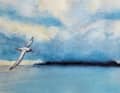 Les îles subantarctiques d'Auckland sont un paradis pour les oiseaux de mer et les phoques, mais pour les naufragés, c'est l'enfer sur terre.