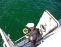The captain slowly lowers the urn with the wreath of flowers into the sea.