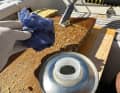 Inumidire il residuo di adesivo con un solvente. Questo funziona bene con un panno. L'ideale è lavorare all'aria aperta. Assicurare la ventilazione del vano motore.