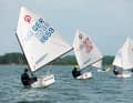 Optimist training under regatta conditions on the Schlei for the youngest Louisenlund sailors.