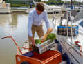 Especially when stowing food, there are a few precautions to take to prevent pests from finding their way on board.