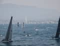 The Bol d'Or du Léman is one of the most important inland regattas in Europe.