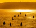 Capri Sailing Week. Evening atmosphere.