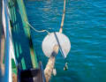 Please do not come on board! If there is a known mouse problem ashore, the entrances may be blocked.