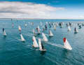 Small boxes on the move: the participants of the Mini Transat 2023 shortly after the start.