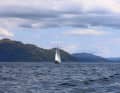 Entspanntes Segeln im Sound of Mull.