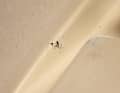Fallito: il tentativo di riparazione di questo danno pregresso non ha avuto esito positivo. Le grandi bolle d’aria si sono rotte.