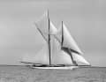 « Germania I » : cette goélette de 1908 servait de partenaire d'entraînement à la « Meteor » de l'empereur.