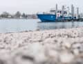 Szenen klassischer Polizeiarbeit. Die Jagd auf Diebe von Ausrüstung und ganzen Booten findet nicht nur auf dem Wasser ...