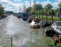 Der Moorkanal an der Wischhafener 
Süderelbe beherbergt ein historisches Hafenbecken. Es verschlickt zusehends.
