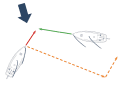 Lorsque deux navigateurs se croisent et que le vent souffle dans des directions différentes, le bateau dont le vent vient de bâbord doit céder le passage à celui dont le vent vient de tribord.