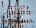Crossed the Atlantic. As the ship enters Kiel, the pupils stand in the gunwales.