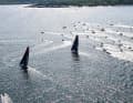 De nombreux bateaux spectateurs ont accompagné le coup d'envoi de la cinquième étape de l'Ocean Race à Newport