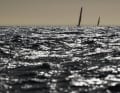 That's how close the battle for second place between Team Holcim - PRB and Team Malizia was in the Bay of Aarhus