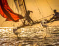 Nacra in un bagliore dorato fotografata da Andrey Sheremetev