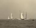 Ces bateaux ont participé à la première course du Fastnet il y a 98 ans.