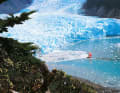 The "Freydis" in a glacier bay in Tierra del Fuego