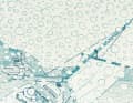 In winter, Hans Zitt and his "Bavarians" encounter snow and ice floes on the Danube