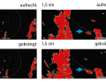 Dargestellt in den einzelnen Testbildern sind die Displays der Breitbandradare. Es handelte sich um auf Yachten übliche Radare.