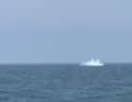 ... zurück in die Nordsee