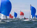 The 505s are made for the wind and wave conditions in Warnemünde.