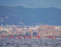 Un magnifico palazzo che fa da cornice alla regata spagnola classica