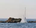 Rettung aus der Luft: Nach einer Grundberührung mit Wassereinbruch flüchtete sich ein Segler vor der auf einen Felsen. Gegen 2 Uhr morgens wurde er gerettet, seine Hallberg-Rassy sank.