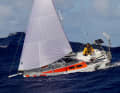 Un'istantanea impressionante: a 1500 miglia nautiche da Antigua, Niels Kamphuis e la sua "Biggest Monkey" hanno incontrato una barca d'appoggio nella "World Toughest Row", una regata di canottaggio attraverso l'Atlantico.
