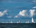 There are lots of ships on the IJsselmeer. It's not easy to keep an overview. Especially as not all of them sail the same course