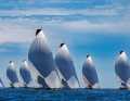 Die 52 Super Series war zu Gast in Newport. Dort siegte überraschend eine Familien-Crew. Harm Müller-Spreers "Platoon Aviation" segelte auf Platz sieben.