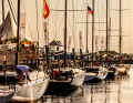 La flotte de 52 dans le port de Newport