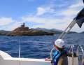 Yacht che entrano nella baia. Anche questo è regolamentato