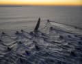 Olivier Blanchet's noble picture of Charlie Dalin's triumphant Vendée Globe return won third prize.