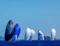 The waters off Porto Cervo are among the most beautiful and popular regatta venues in the world.