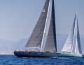 Quelques images de la YYachts Cup