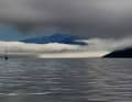 Place 26: Gabriela Ferling-Küpper - Morning fog in the Johnstone Strait, Vancouver Island