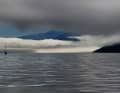 Platz 26: Gabriela Ferling-Küpper - Morgennebel in der Johnstone Strait, Vancouver Island