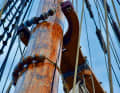 The large ones climb up the wooden pole on a line.