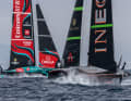 So far, "Britannia" has not been able to put up enough of a fight against New Zealand's defenders. Will that change in races 5 and 6 on 16 October?
