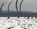 The new Olympic Formula kiters celebrate their premiere off Marseille in 2024