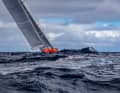 The sailing area was mainly characterised by light winds, but there were also a few days with pressure in the air