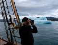 Fox in Greenland in August 2021