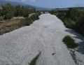A river near Volos is covered with a carpet of dead fish