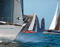 Here the regatta participants sail in front of the Lange Anna, Heligoland's landmark