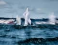 Britons Hannah Bristow and James Taylor, who are in second place, are at the centre of an extraordinary snapshot.