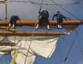 Sailors work in the rig of the "Cuauhtémoc".