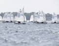 Die Strander Bucht wird am 30. und 31. Mai ein weiteres Mal zu einem weißen Segelmeer: Der TSV Schilksee richtet die 57. Auflage des Goldenen und Silbernen Optis (GOSO) aus. | Andreas Dick