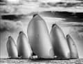 2022 : une flotte de TP52 navigue au vent lors du championnat du monde, sous une douce brise et dans une lumière tout à fait particulière.